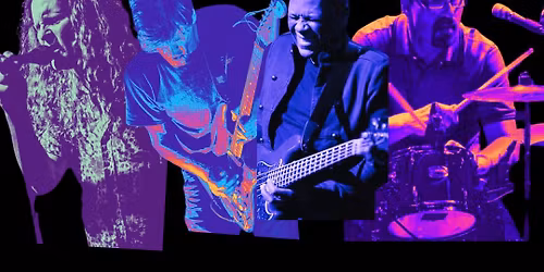Fish and the Seaweeds with Jimmy Lewis at Aquarius \ud83d\udd25 