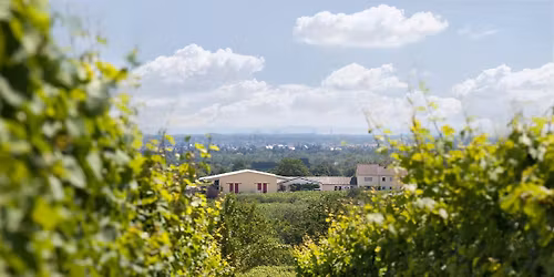 "BEST OF" Gerhard Schwarztrauber