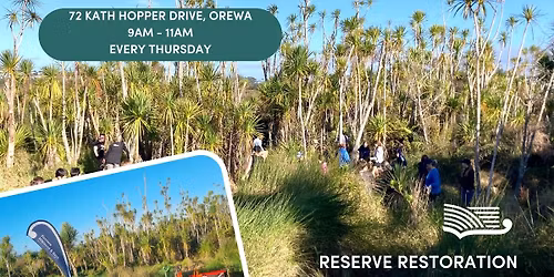 72 Kath Hopper Drive, Orewa - Volunteer Restoration Morning