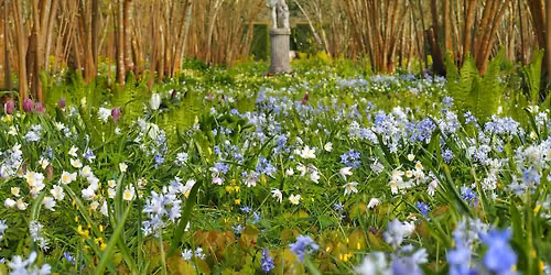 Private Morning Tours at Sissinghurst