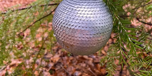 MYSTERY WALK TO FIND THE CHRISTMAS TREE - 6 Miles