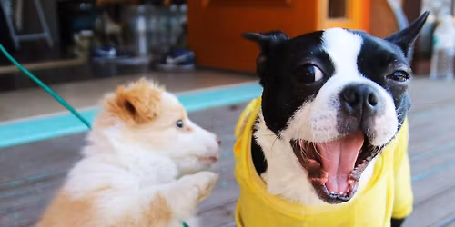 Farley's Bark & Brew 