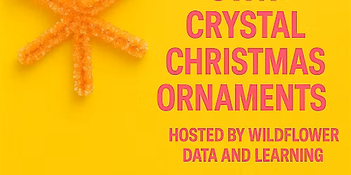 Fun science based Christmas ornaments making workshop for kids