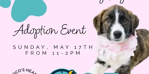 Rosemount Adoption Event! \ud83d\udc36