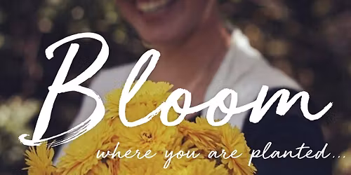 Turners Book Club - Imagine It!