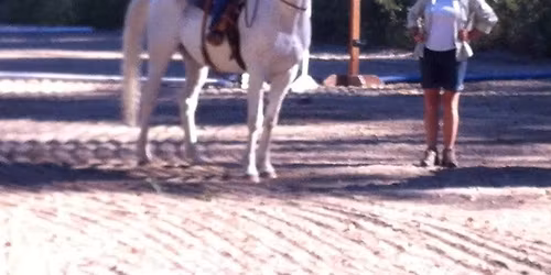 Brandy Saunders clinic