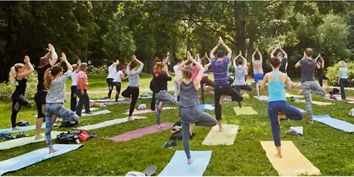 Yoga in the Meadows