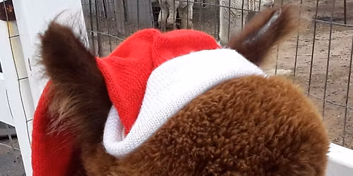 Winter Holidays FREE Open House 4