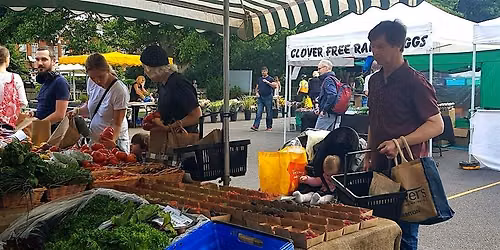 Wimbledon Farmers Market - Every Saturday 9am to 1pm