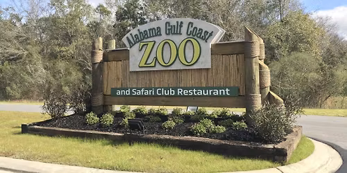 Kindergarten Zoo Field Trip