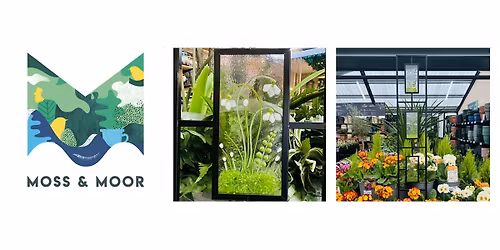 Fused glass garden art workshop. Pot trellis, hanging basket or window box