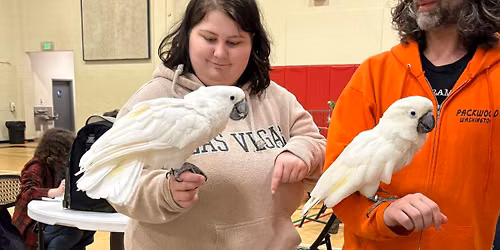 Parrot Playdates Tuesdays 