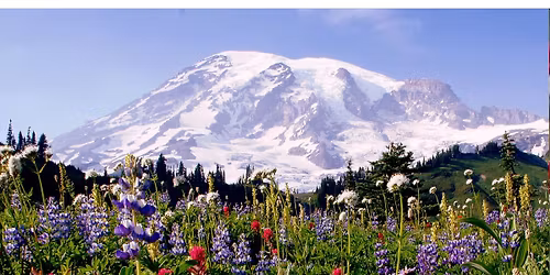 Master Gardener Annual Plant Sale