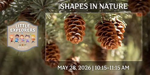 Little Explorers: Shapes in Nature