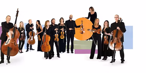 BSO Strings - Musical Families