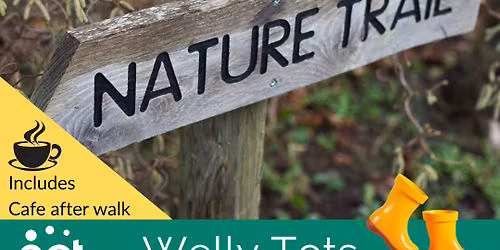 Welly Tots - The Fold