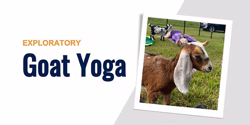 Exploratory: Goat Yoga