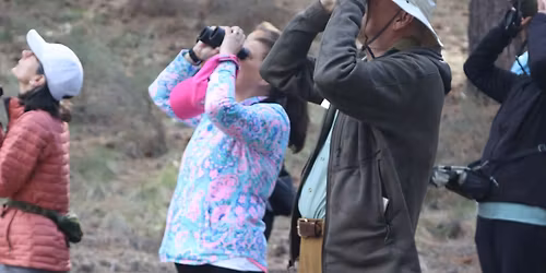 Birding for Breakfast