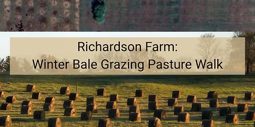 Winter Bale Grazing Pasture Walk at Richardson Farm