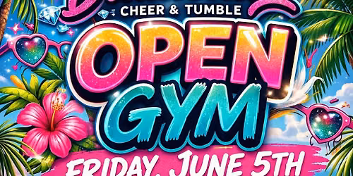 Open Gym