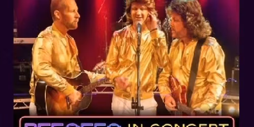BEEGEES + ABBA IN CONCERT EXPERIENCE