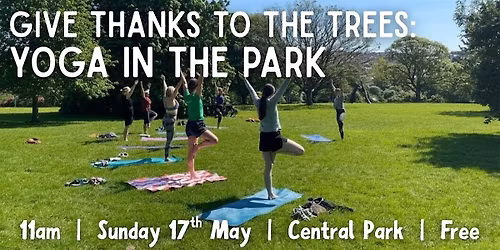 Give Thanks to the Trees: Yoga in the Park