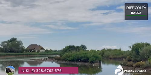 Birdwatching in Friuli Venezia Giulia