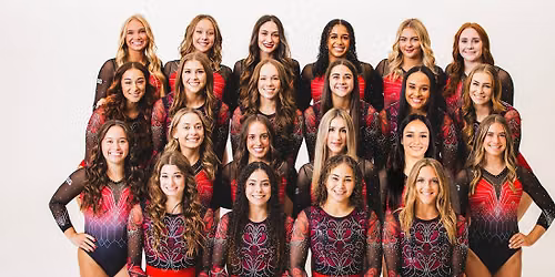 Nebraska Cornhuskers at Michigan Wolverines Womens Volleyball