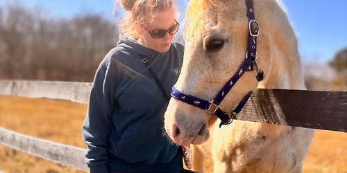 Meet A Horse Day - Farm Tours at Equine Connection Center