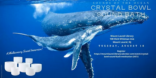 FREE Whale Song Sounds Of The Ocean Crystal Bowl Sound Bath - A Multi-Sensory Immersion