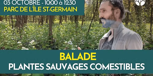 BALADE PLANTES SAUVAGES COMESTIBLES