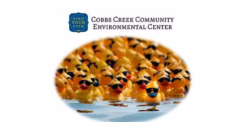 Annual Duck Race