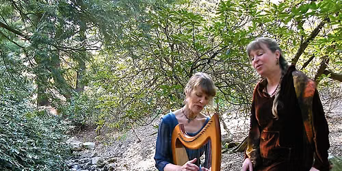 Solstice Among Trees: a Story and Music Journey Through the Arnold Arboretum