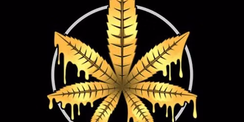 Top Shelf Cannabis Tasting Room