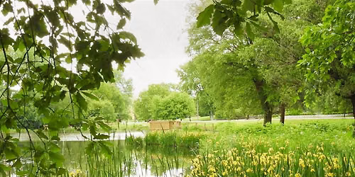 Rewiring for Calm: A Nature Walk to Reset Your Nervous System