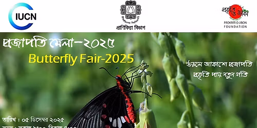 Butterfly Fair 2025