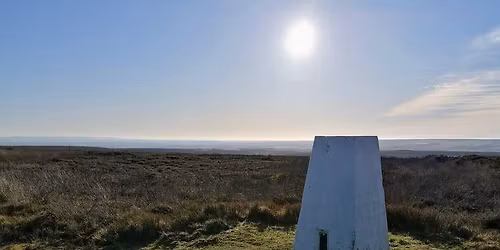 March Sunday Walk - Cowhouse Bank Woods, Newgate Bank and Rievaulx Moor - 11miles\/17km