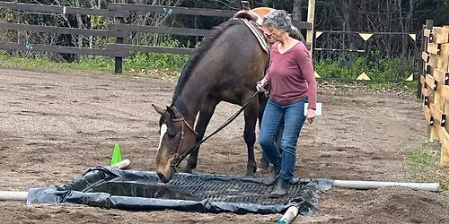 Cowboy Challenge\/Obstacles