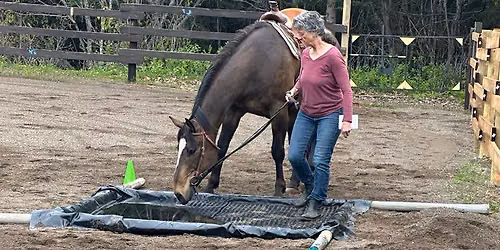 Cowboy Challenge\/Obstacles