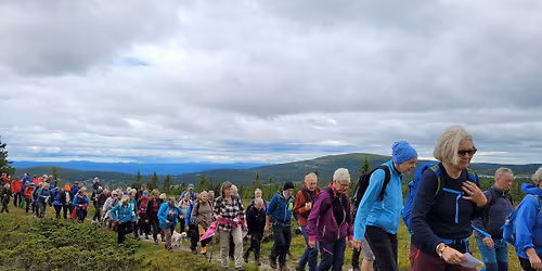 Pilegrimsvandring - Sommerfestuka p\u00e5 Sjusj\u00f8en 2026