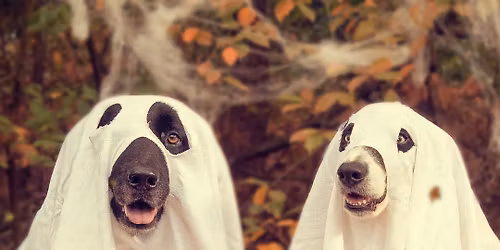 Howl-O-Ween