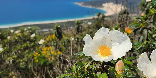 Los Algarbes- Betijuelo- Valdevaqueros, Tarifa