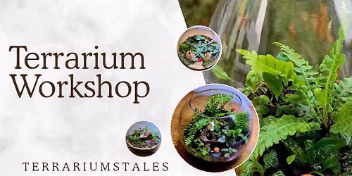 Terrarium