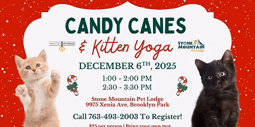 Candy Canes & Kitten Yoga with Twin Cities Pet Rescue