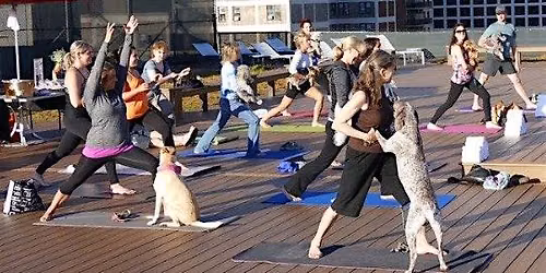 Corporate Pilates and Yoga San Francisco