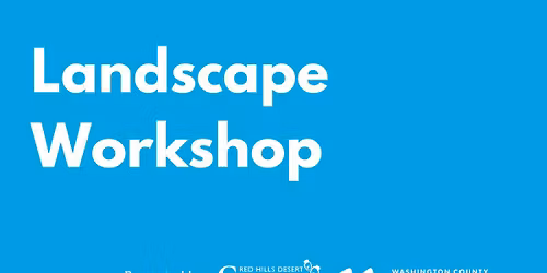 Lawn to Lush: Converting Your Landscape