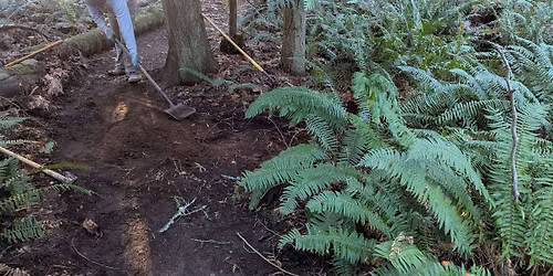 Lord Hill: Erratic Trail Maintenance (Come & Go)