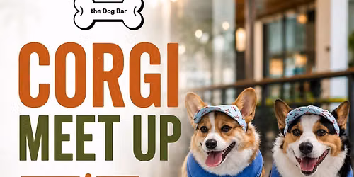Corgi Meet Up at Dog Bar Sarasota