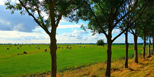 Polderrit 2026 - Oostende Motosport