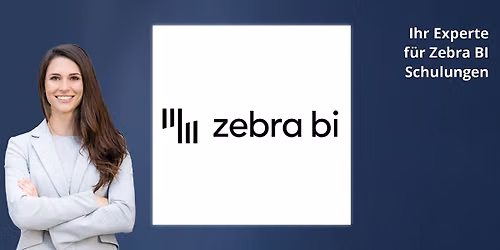 Zebra BI f\u00fcr Power BI - Datenmodellierung Schulung in Wien